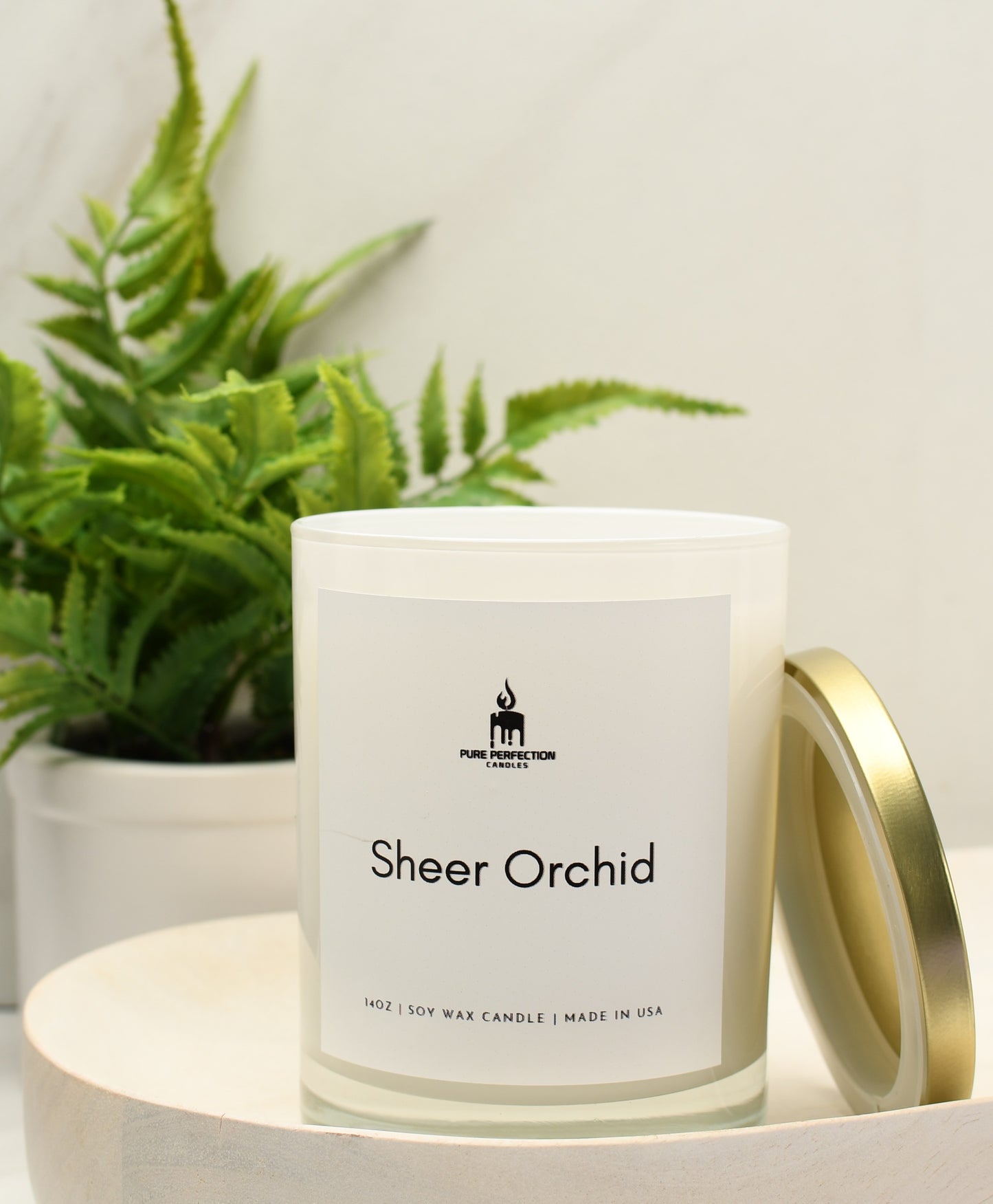 Sheer Orchid